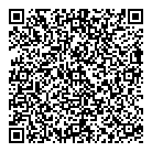 QR код "Звездочка"