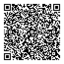 QR код "Нефертити"