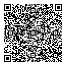 QR код "SkinArt"