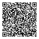 QR код "Луна"