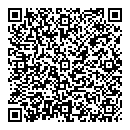 QR код "Глобус"