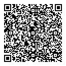 QR код "Домино"