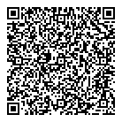 QR код "Аэлита"