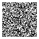 QR код "Лучики"