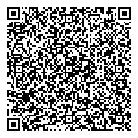 QR код "33 пингвина"