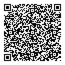 QR код "Глобус"