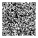 QR код "Промо"