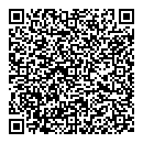 QR код "Салют"