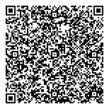 QR код "Звездочка"