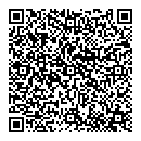 QR код "Алиса"