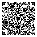 QR код "Глобус"