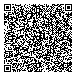 QR код "Аничков мост"