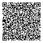 QR код "Звездочка"