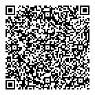 QR код "Созвездие"