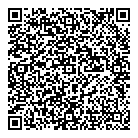 QR код "Профессионал"