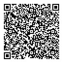 QR код "Алишка"