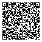 QR код "PS 4"