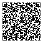QR код "Пульсар"
