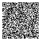 QR код "Aviator"
