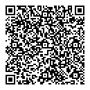 QR код "Angry Birds"