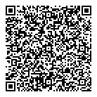 QR код "Викинг"