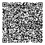 QR код "33 пингвина"