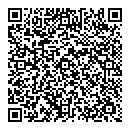QR код "Арсенал"