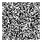 QR код "Хамелеон"