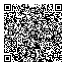QR код "Professional"