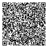 QR код "Звездный"