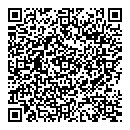 QR код "Professional"