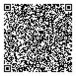 QR код "Рыжий кот"