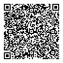 QR код "Frozen"