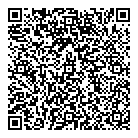 QR код "DXSTORE"