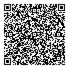 QR код "113"