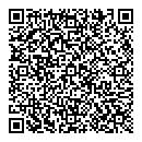 QR код "SkyVision"