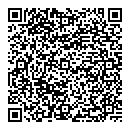 QR код "Лион"