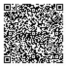 QR код "Кот-бегемот"
