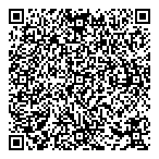 QR код "STSGeo"