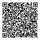 QR код "Ион-стиль"