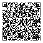 QR код "Профессионал"