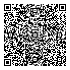QR код "Voodoo"