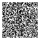 QR код "Nem"
