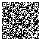 QR код "Оле-Лукойе"