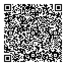 QR код "Tesla"