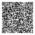 QR код "Глобус"