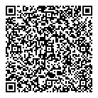 QR код "Laser Evo"