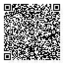 QR код "11 RUS"