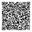QR код "Сова"