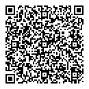 QR код "Zeppelin"